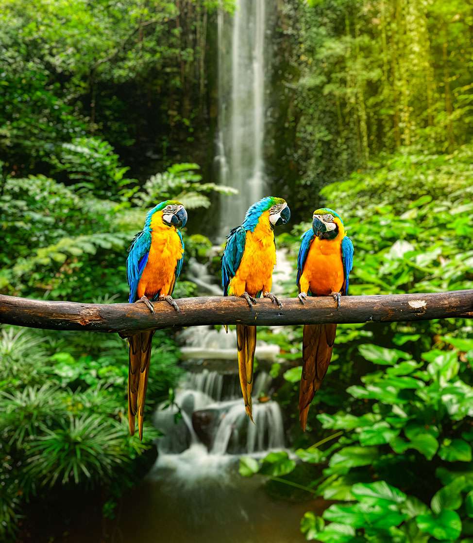 Medical Tourism Visiting Costa Rica